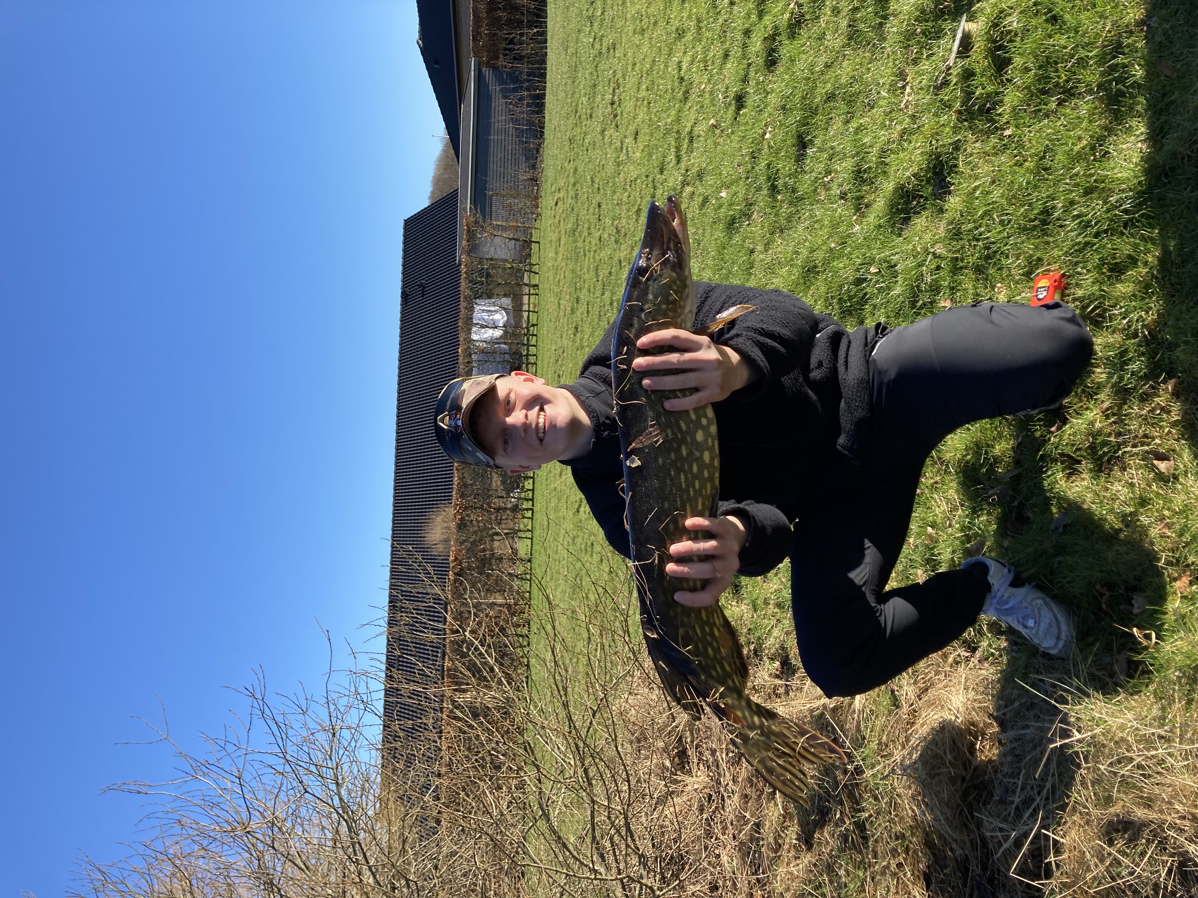 Monstergedden fra Skallesøen