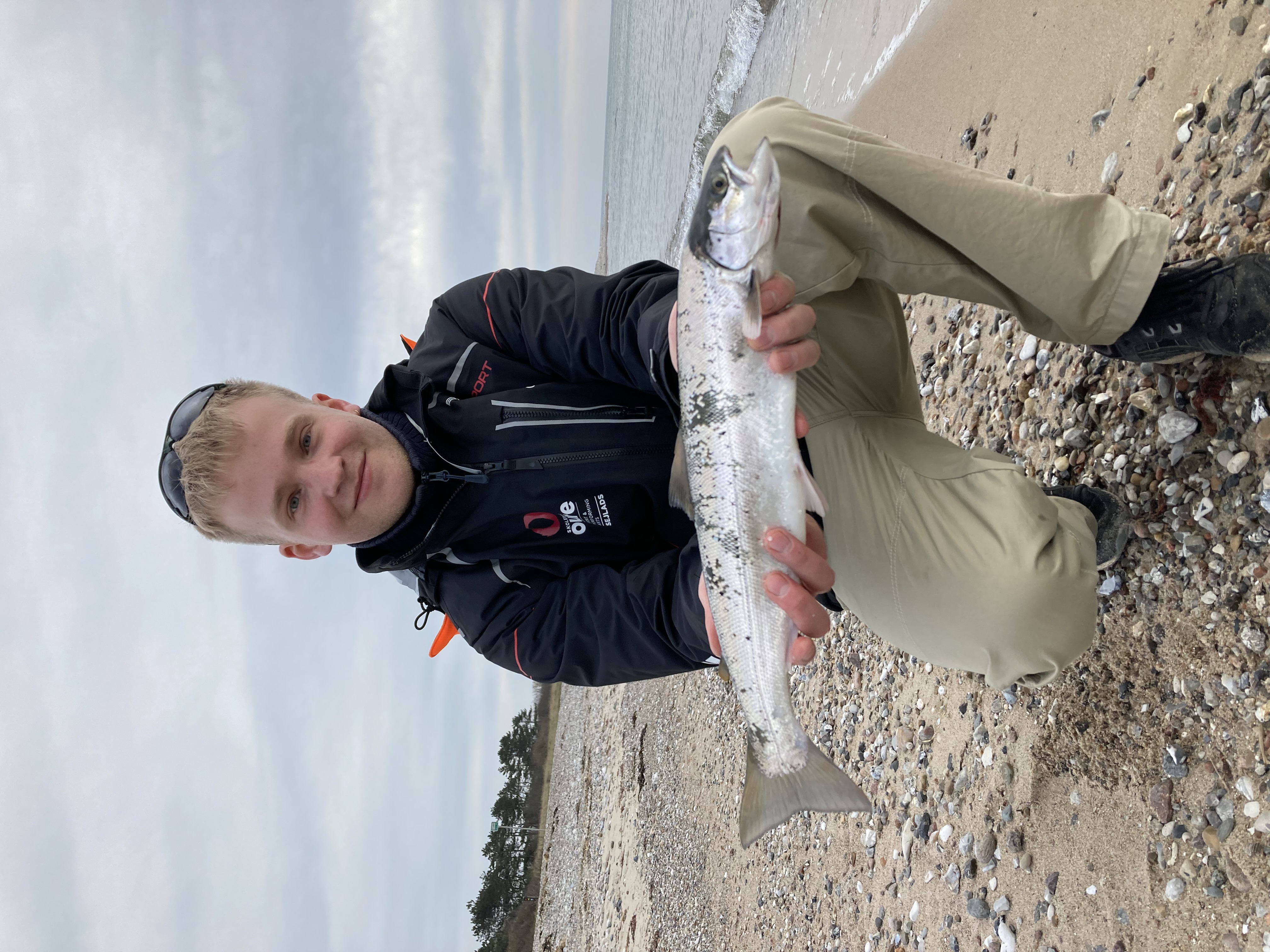 Første havørred fanget